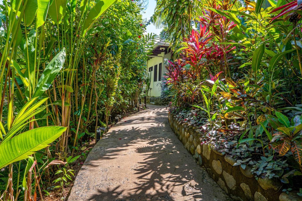 Villas En El Bosque Ojochal Dış mekan fotoğraf