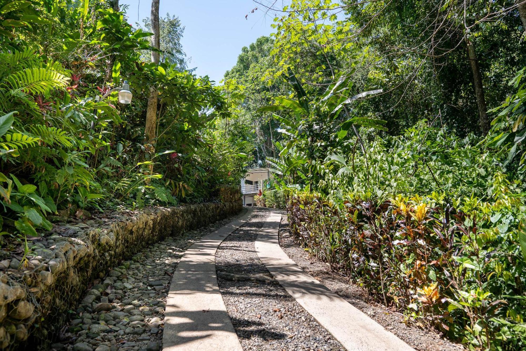 Villas En El Bosque Ojochal Dış mekan fotoğraf